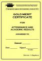 Поздравляем обладателей Gold Merit Certificates